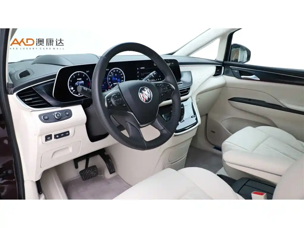 Buick GL8 2022 Avenir Avia 6-Seater Virtue Edition фото 6
