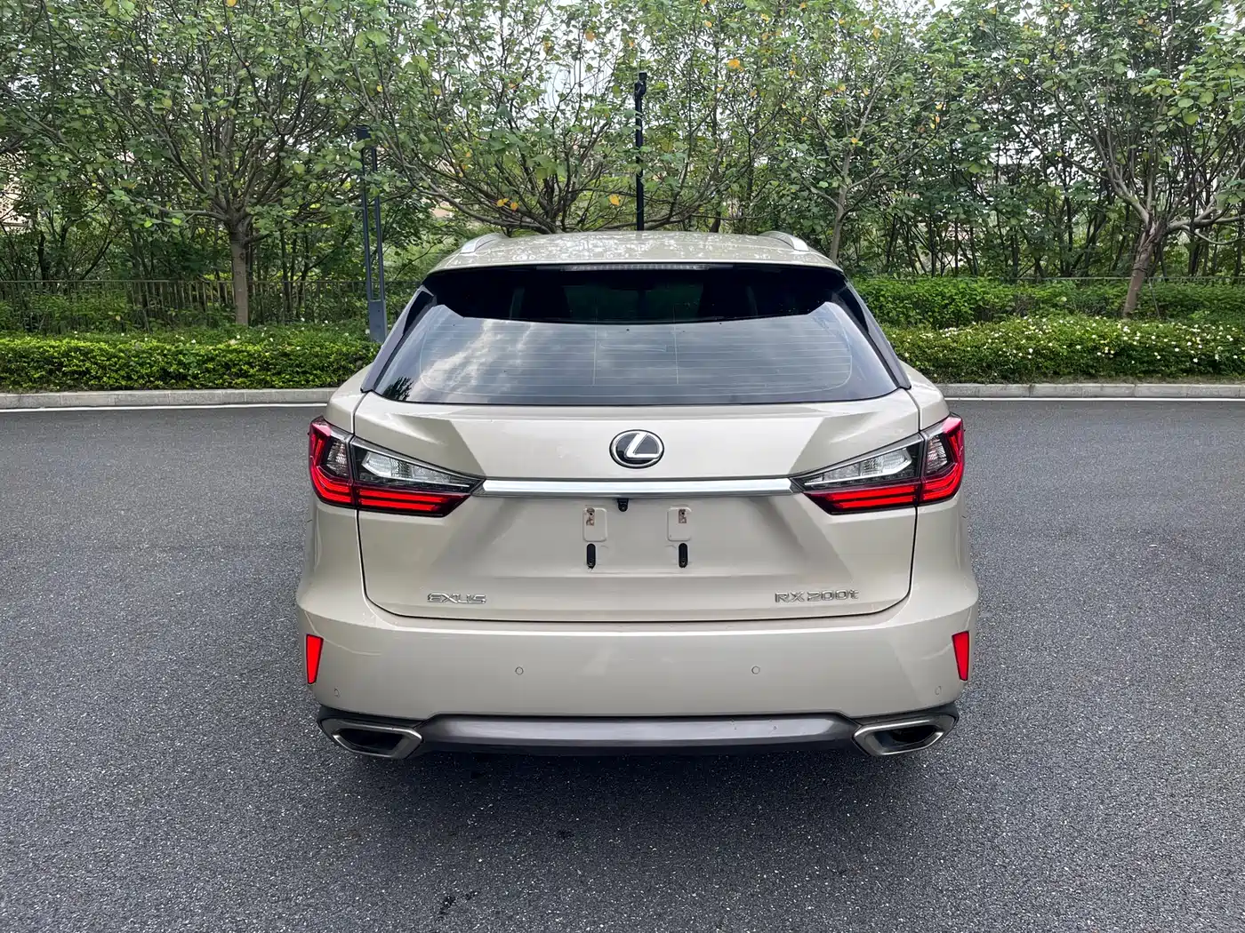 LEXUS RX