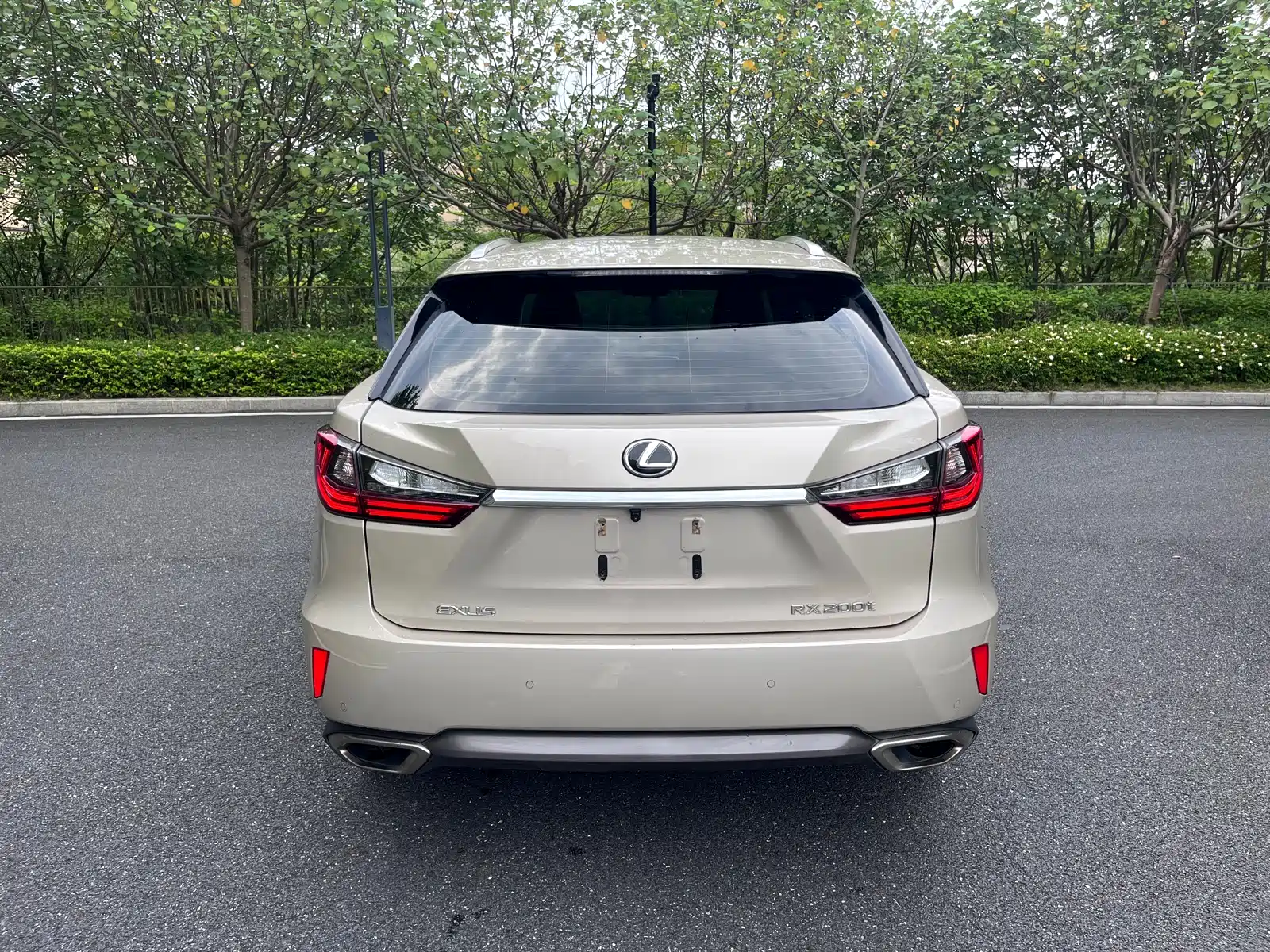 Photo 5 - Lexus RX