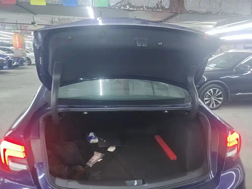 Buick Regal 2023 GS Premium фото 19