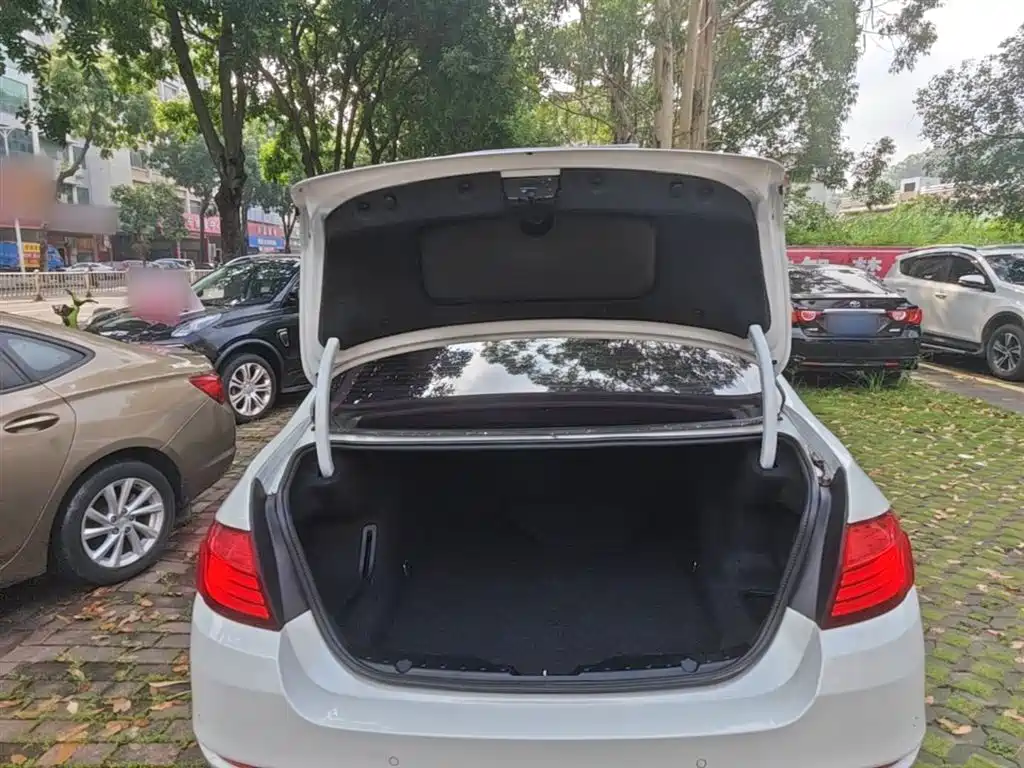 BMW 5 Series 2014 525Li Leading фото 19