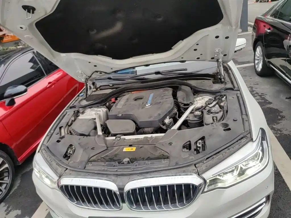BMW 5 Series New Energy 2019 Facelift 530Le Luxury Package фото 20