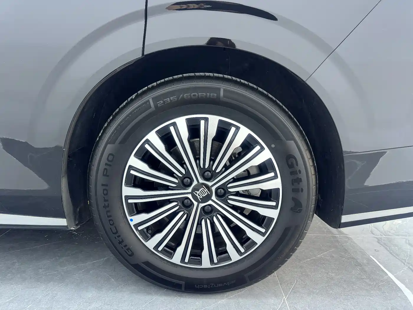 BYD Xia 2025 DM-i 1.5T 100km Surpass Edition фото 9
