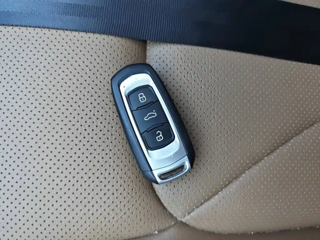 Фото 9 - Geely Borui