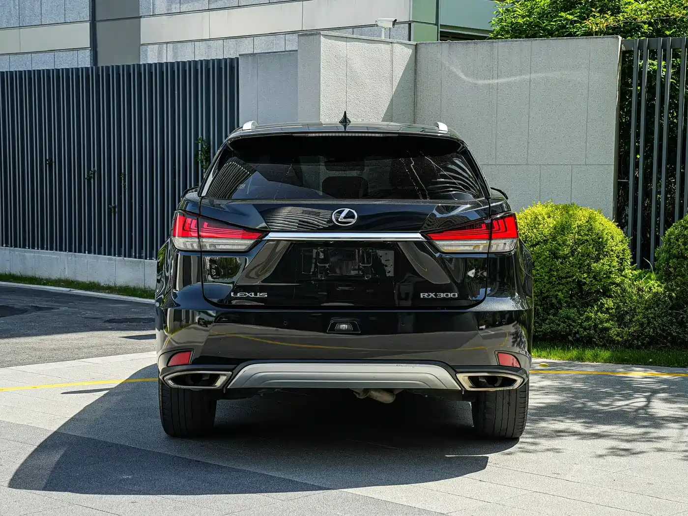 Lexus RX 2020 300 4WD Elegance Edition China VI фото 5