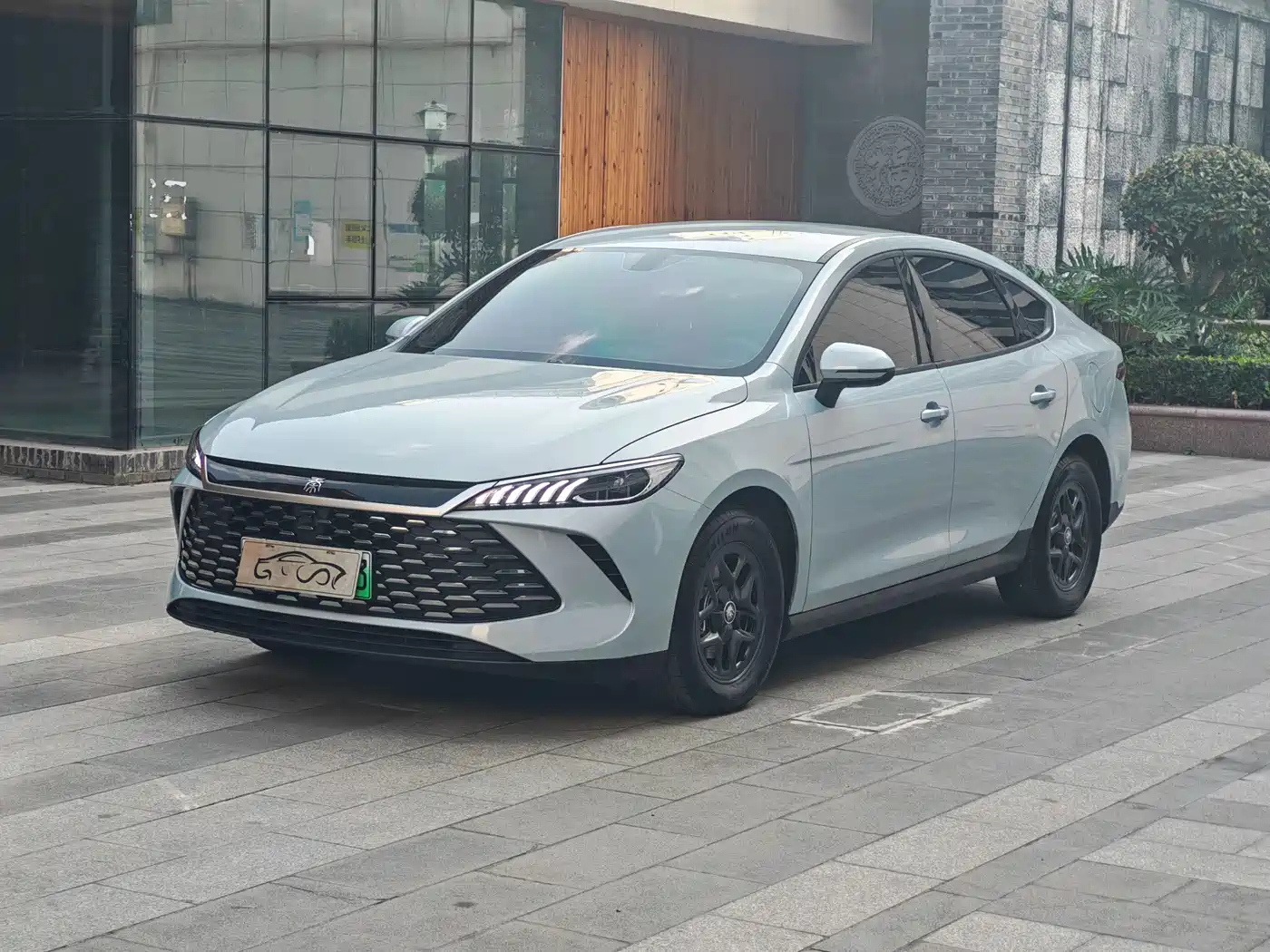 BYD Qin PLUS 2025 DM-i Smart Drive 55KM Leader
