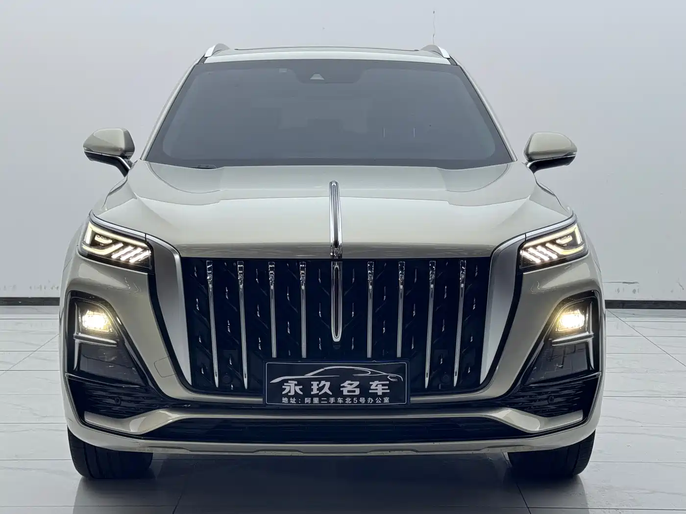 Hongqi HS5 2023 2.0T AWD Flag Enjoy Pro Edition фото 2