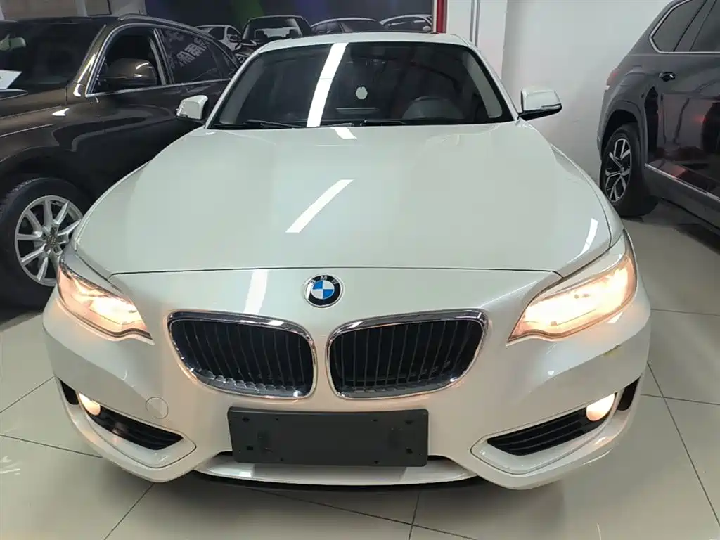 BMW 2 Series (Import) 2015 218i фото 3