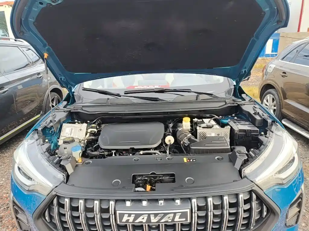 Haval Chitu 2022 2021 Boost Edition 1.5T Platinum Rabbit