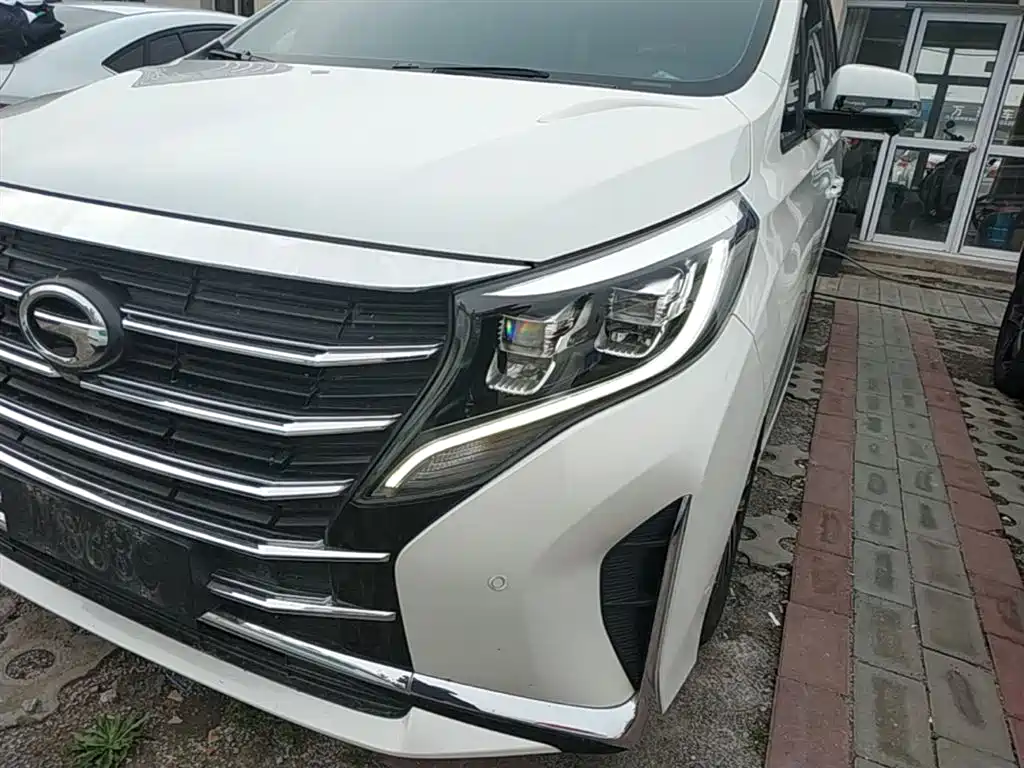 GAC Trumpchi Trumpchi M8 2021 Leading Show Series 390T Ultimate Edition фото 18