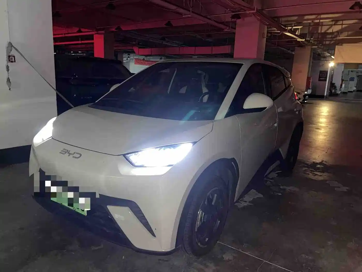 BYD Seagull 2024 Glory Edition 305km Freedom Edition