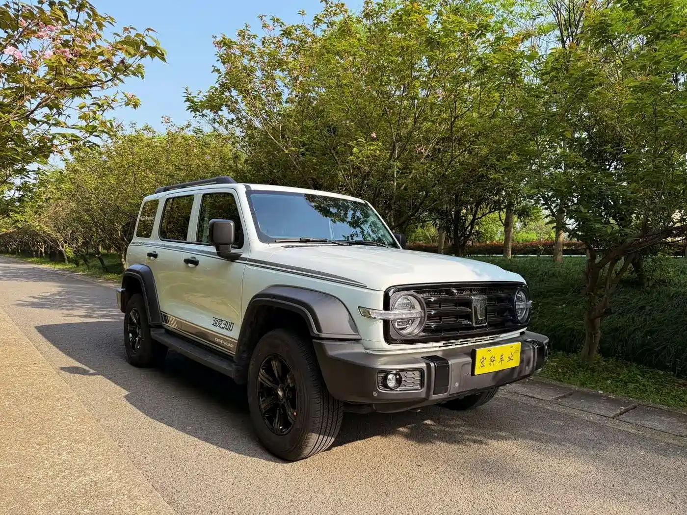 Tank 300 2023 Off-Road Edition 2.0T Conqueror фото 2