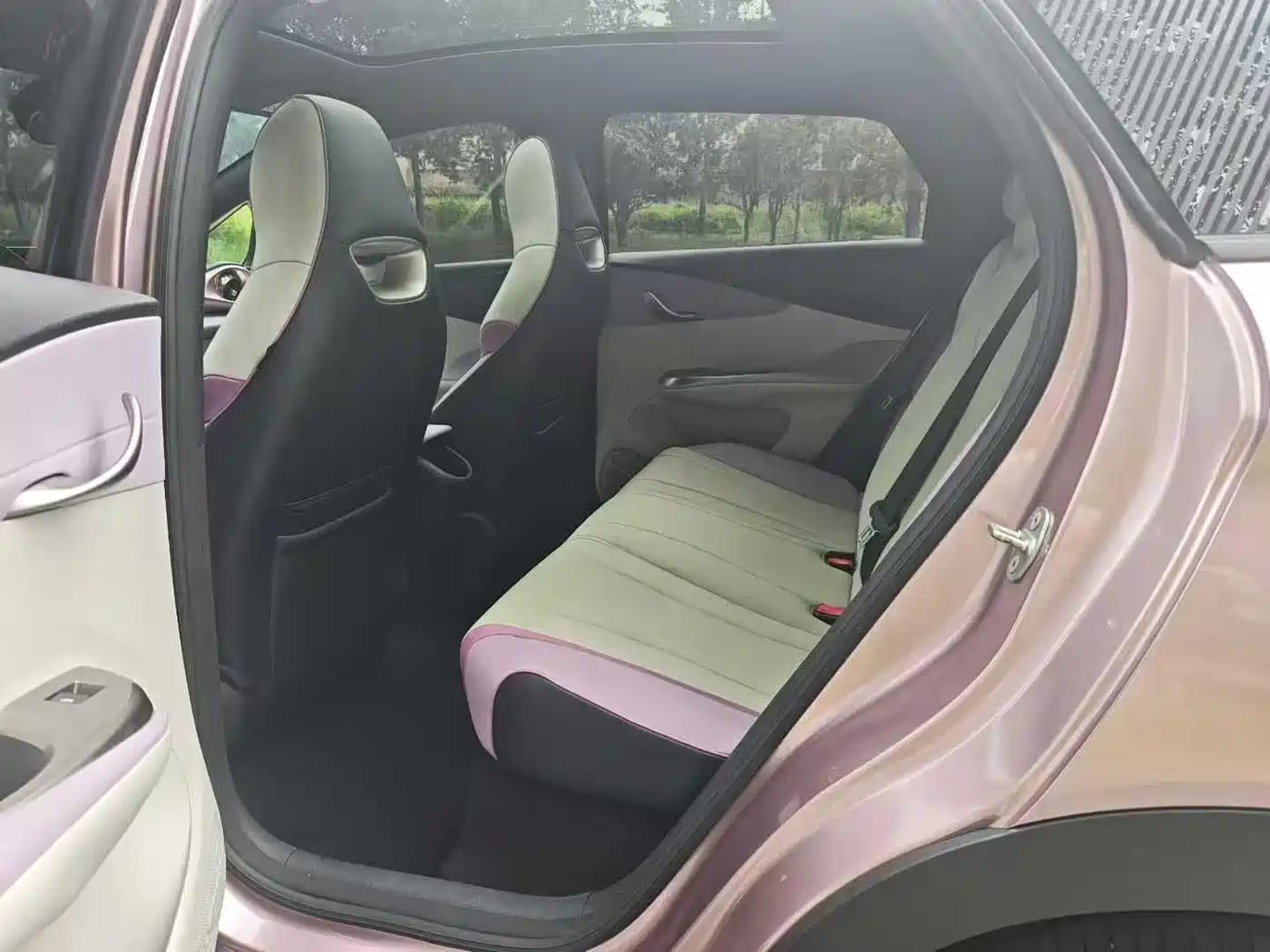 BYD Dolphin 2021 Model 405km Fashion Edition фото 6