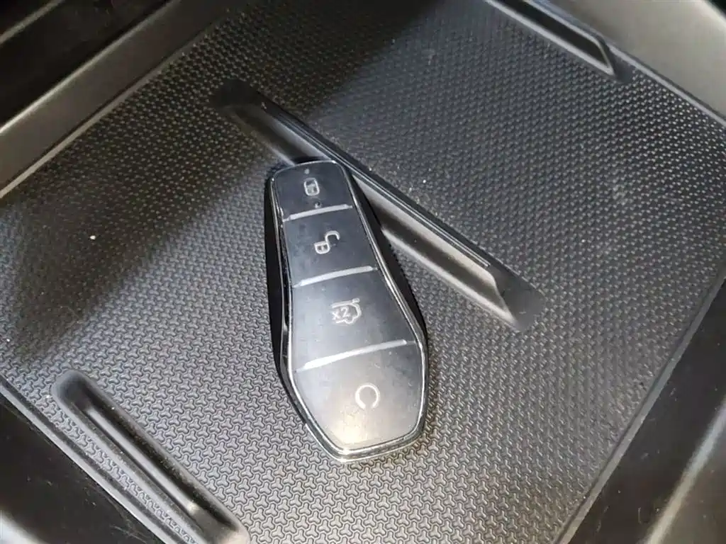 BYD Qin PLUS 2025 DM-i Smart Drive 55KM Leader фото 9