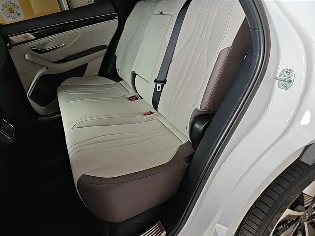 BYD Song PLUS PHEV 2025 DM-i 112KM Premium фото 17