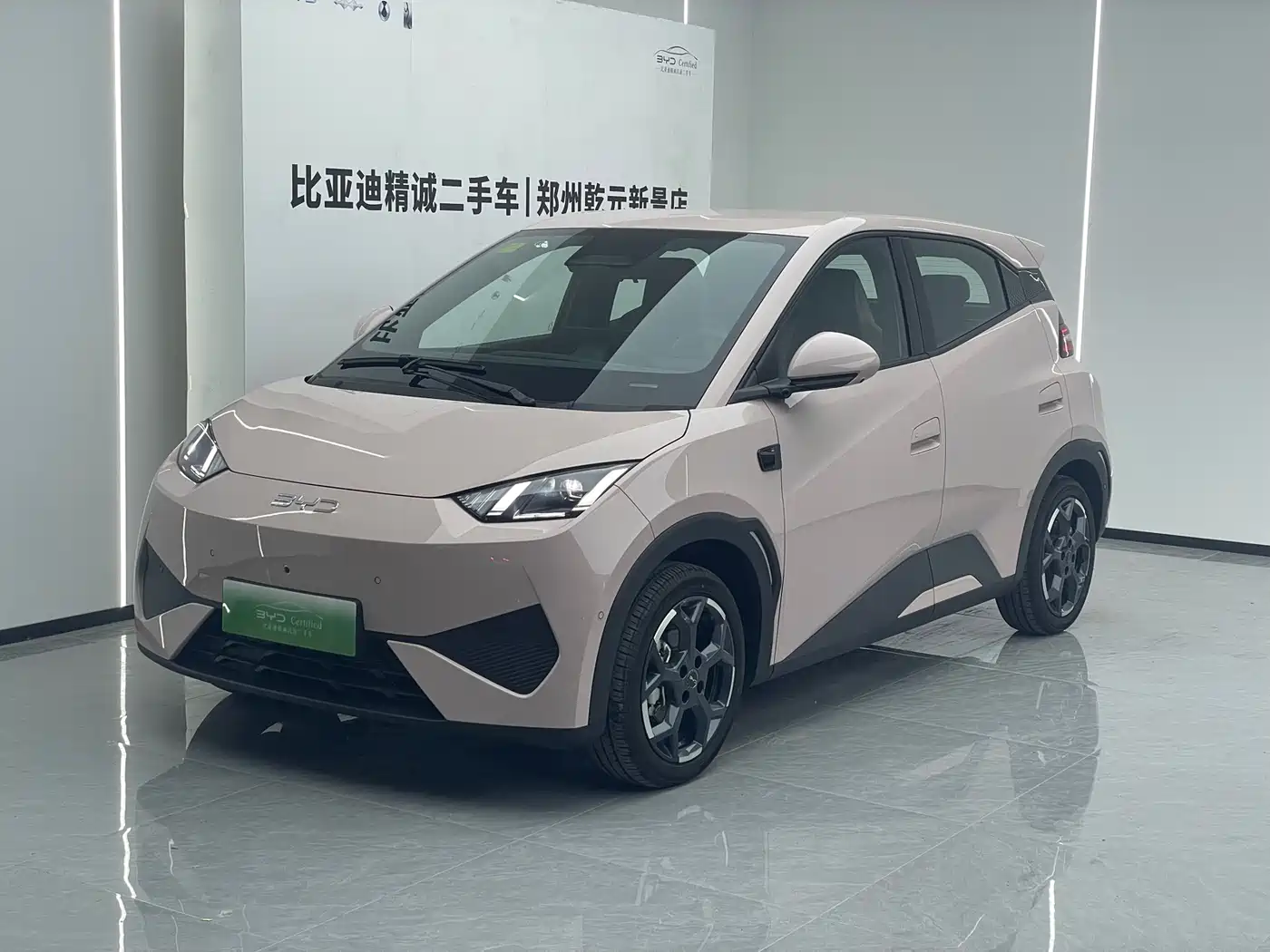BYD Seagull 2025 Smart Drive Edition 305km Freedom Version