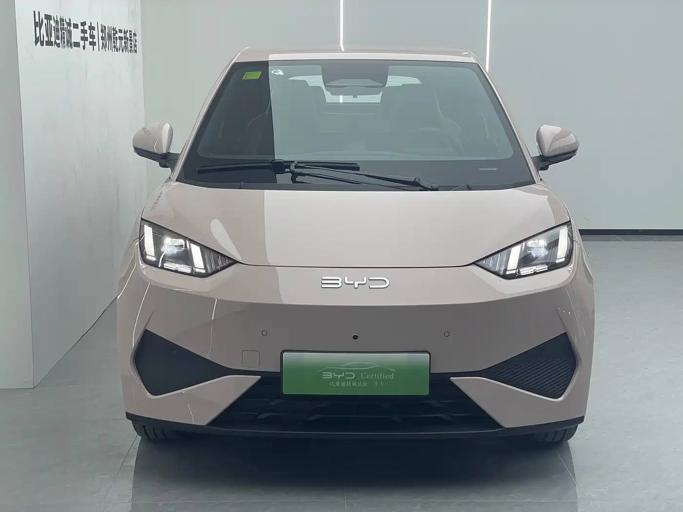 BYD Seagull 2025 Smart Drive Edition 305km Freedom Version фото 2