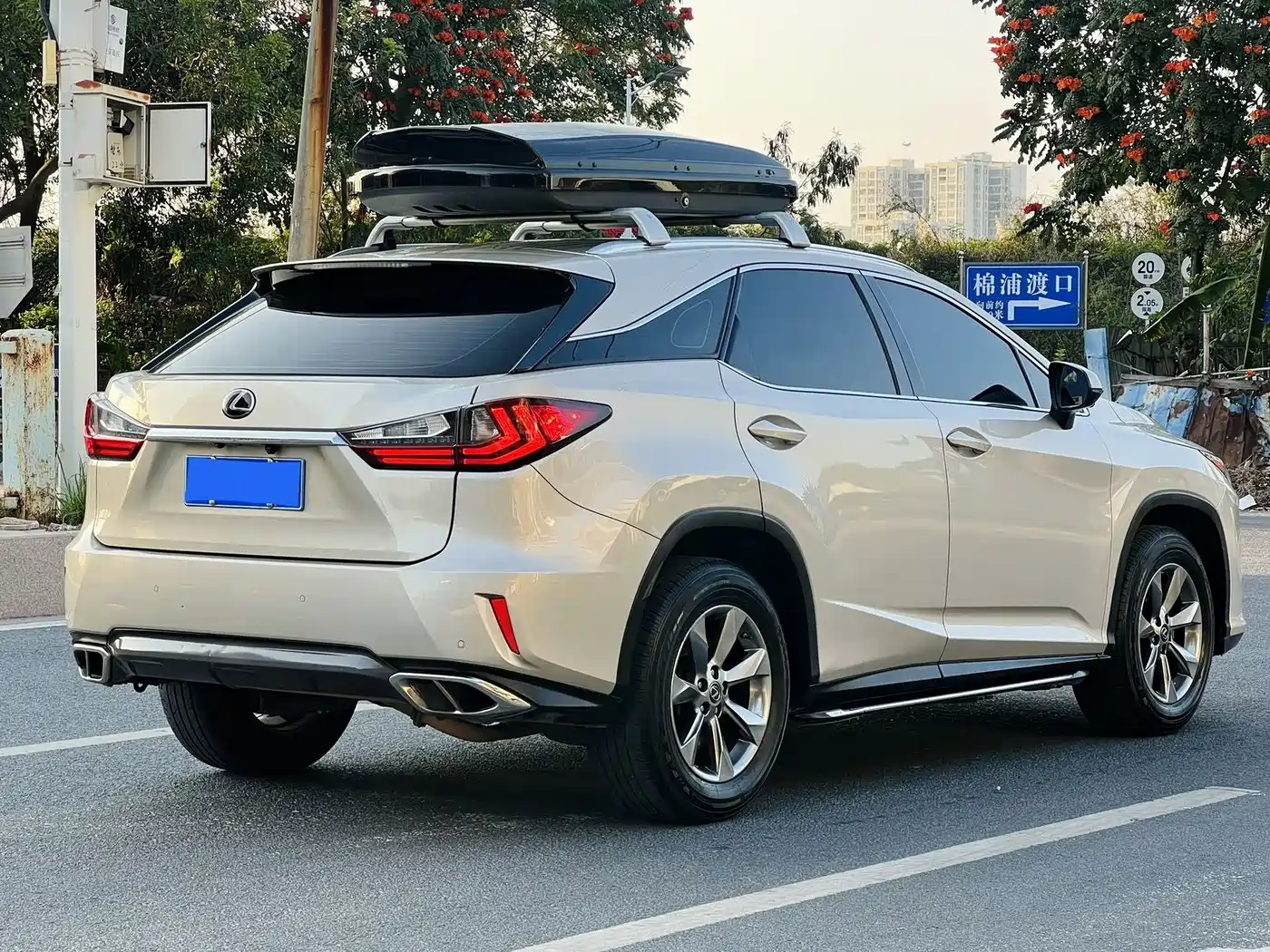 LEXUS RX