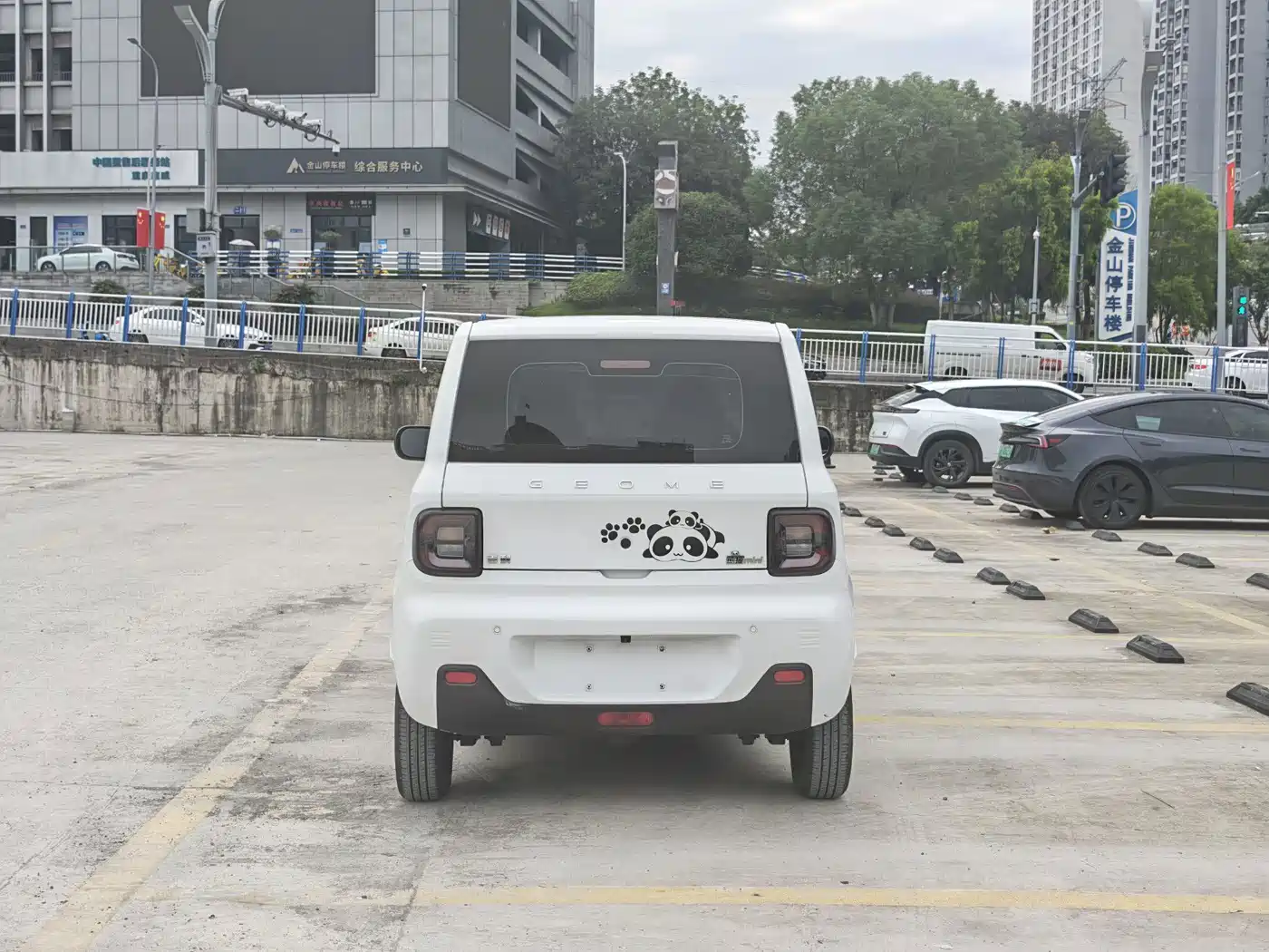 Geely Galaxy Panda 2023 2023 Panda Mini 200km Endurance Bear