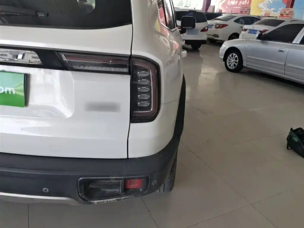 Haval Big Dog 2022 1.5T DCT FWD Border Collie Edition фото 8