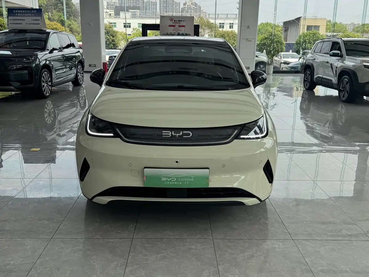 BYD DOLPHIN