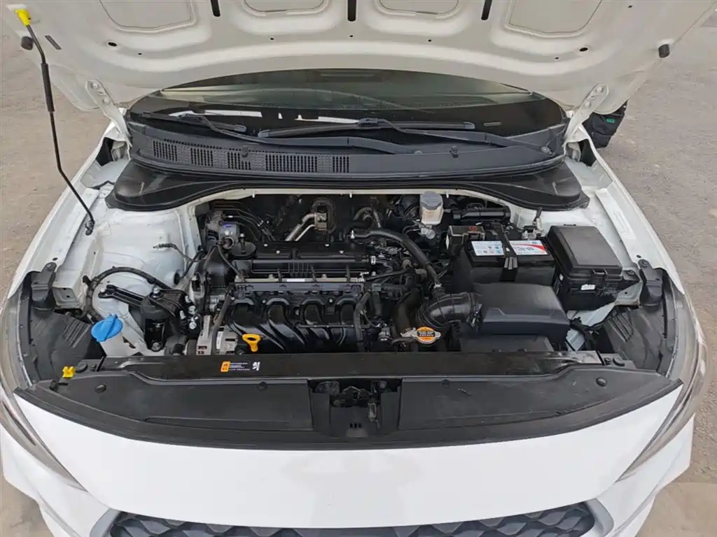 Hyundai Elantra 2018 1.6L Automatic Pleasing Edition GL China VI фото 20