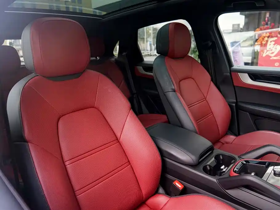 Porsche Cayenne 2025 Cayenne 3.0T Dream Chaser Edition фото 28