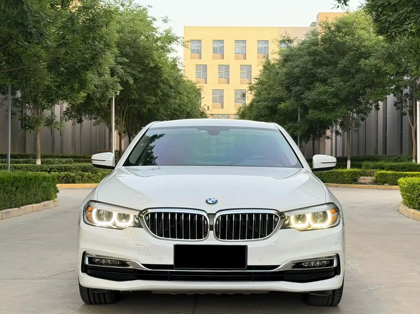 BMW 5 Series 2019 530Li xDrive Luxury Package фото 2