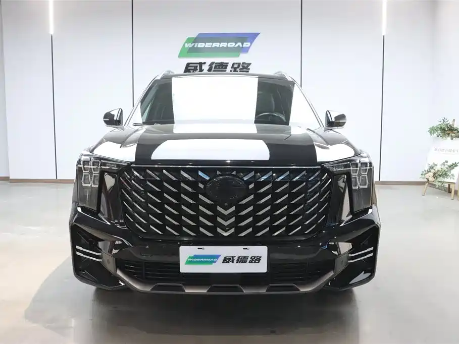 GAC Trumpchi Trumpchi GS8 2022 Pilot Series 2.0TGDI 2WD Luxury Smart Connect Edition (7-Seater) фото 2
