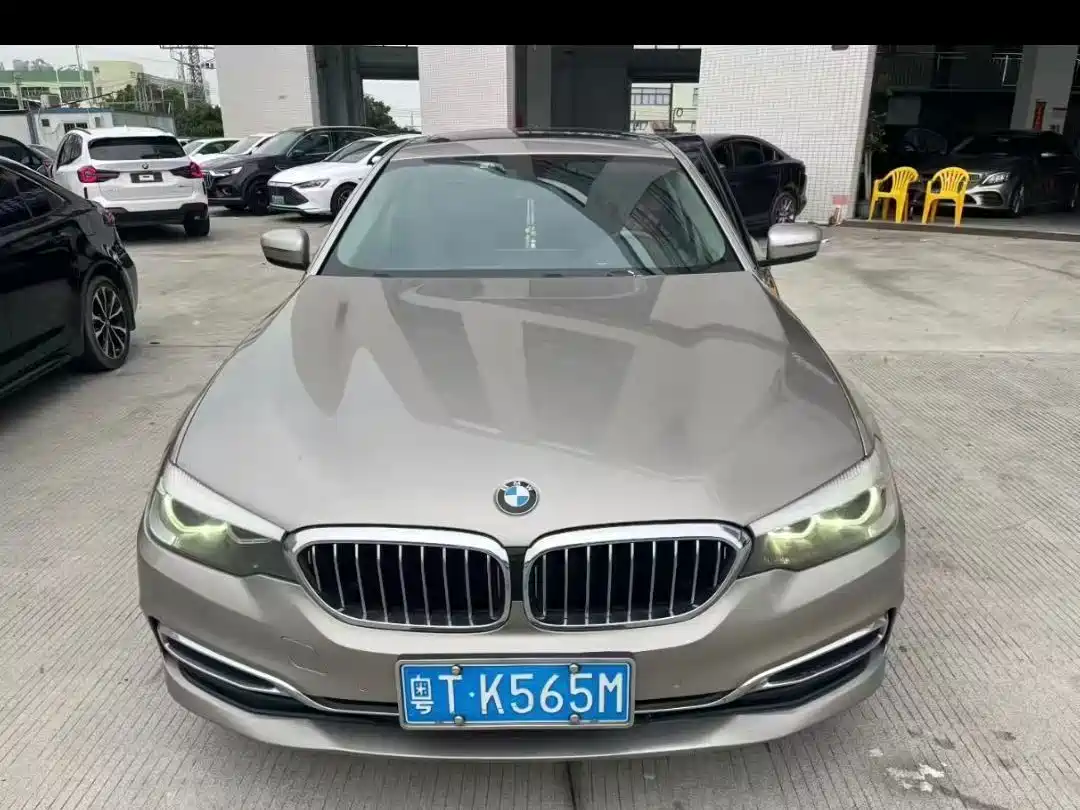 BMW 5 Series 2019 530Li Leading Luxury Package фото 6