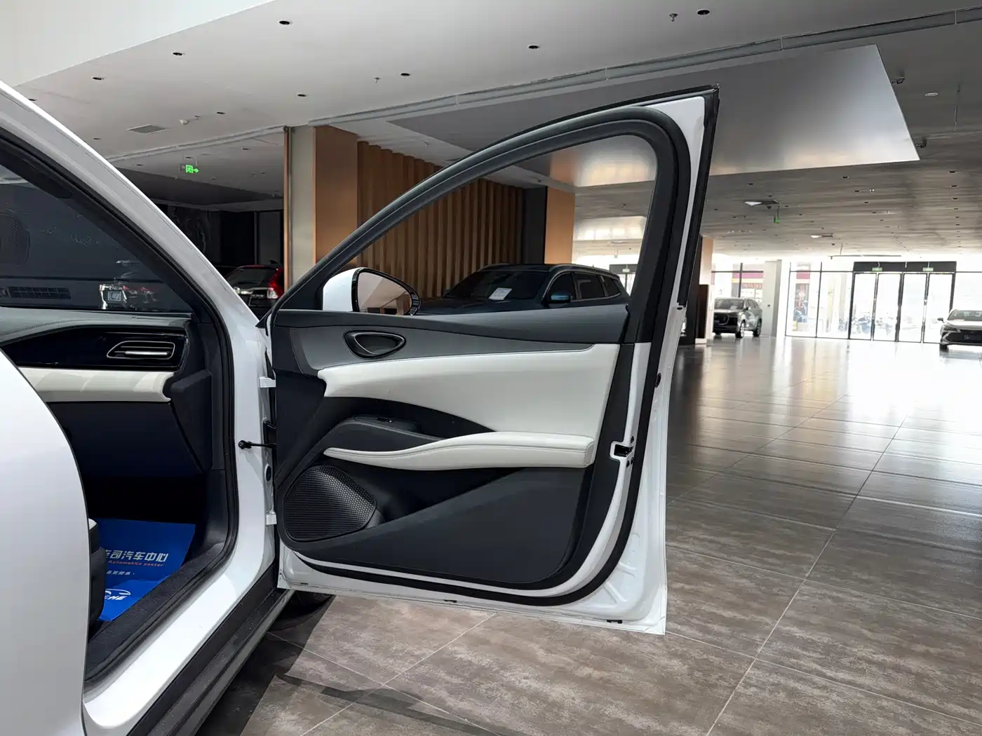 BYD Seal 06 New Energy 2024 DM-i 80KM Luxury фото 21