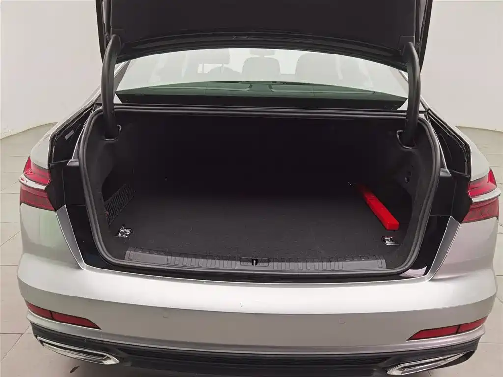 Audi A6L New Energy 2020 55 TFSI e quattro фото 16