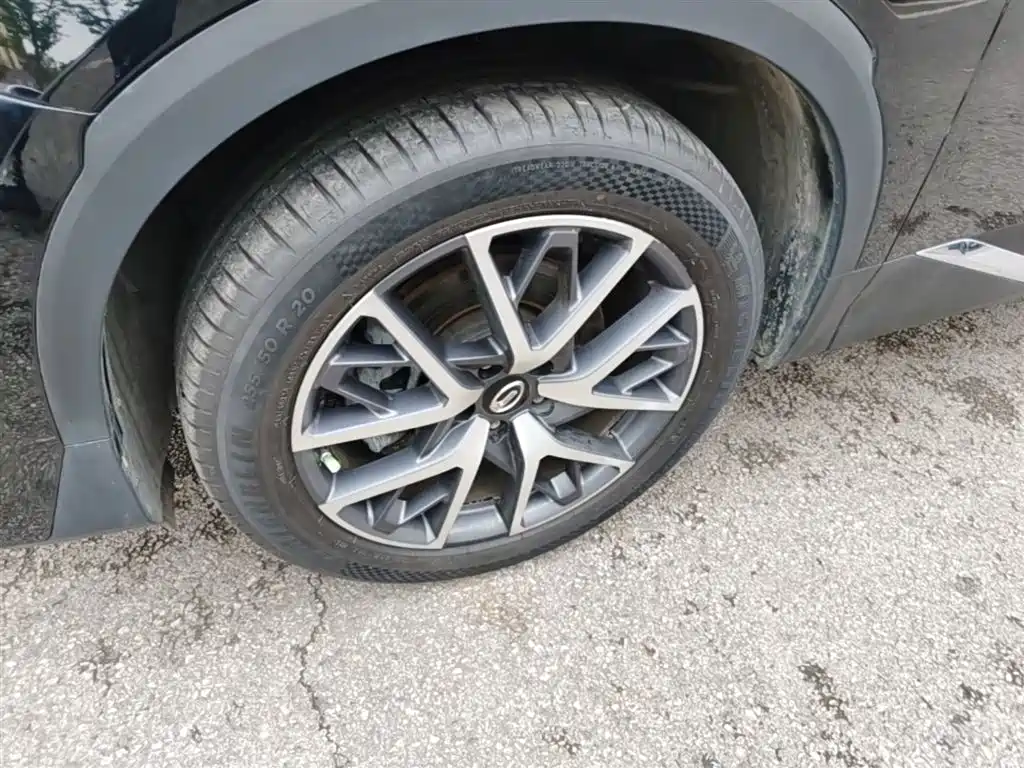 GAC Trumpchi Trumpchi GS8 2022 Pilot Series 2.0TGDI 2WD Luxury Smart Connect Edition (7-Seater) фото 23