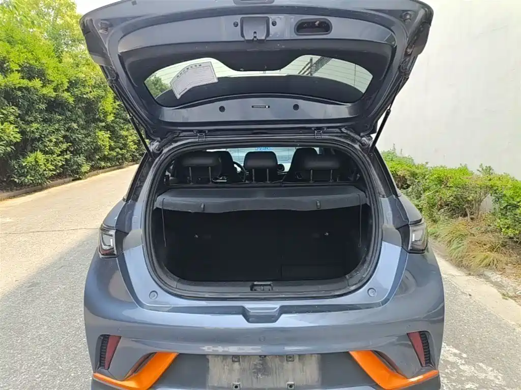 BYD Dolphin 2023 401km Knight Edition фото 19