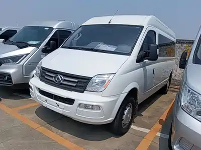 Maxus New V80
