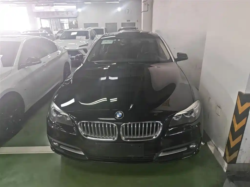 BMW 5 Series 2014 535Li Leadership фото 3