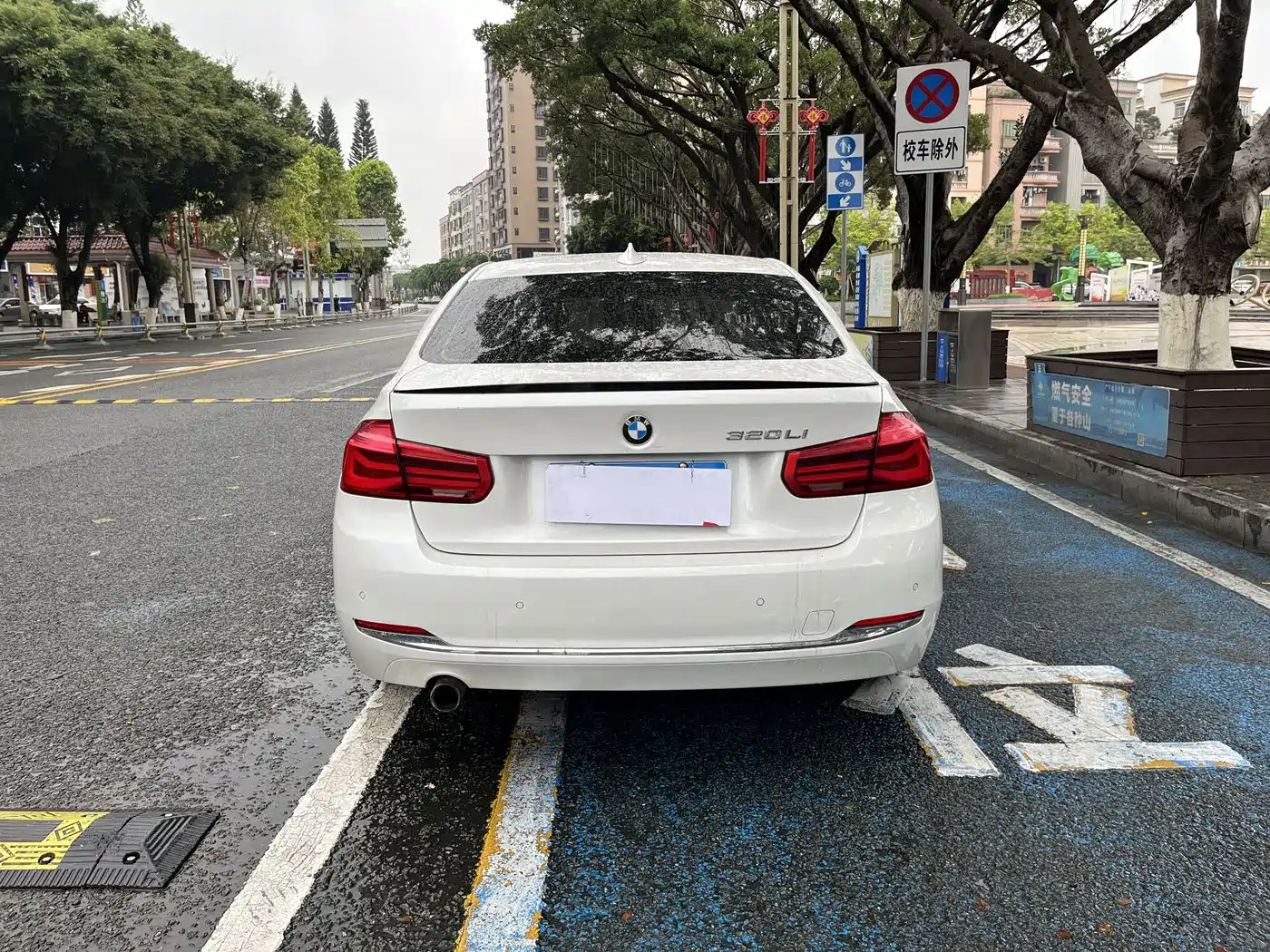 BMW 3 Series 2016 320Li Progressive фото 6