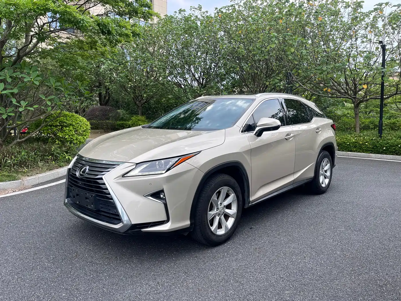 LEXUS RX