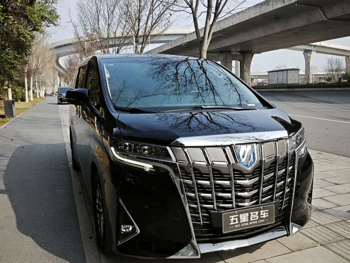Toyota Alphard 2019 Hybrid 2.5L Premium Edition фото 3