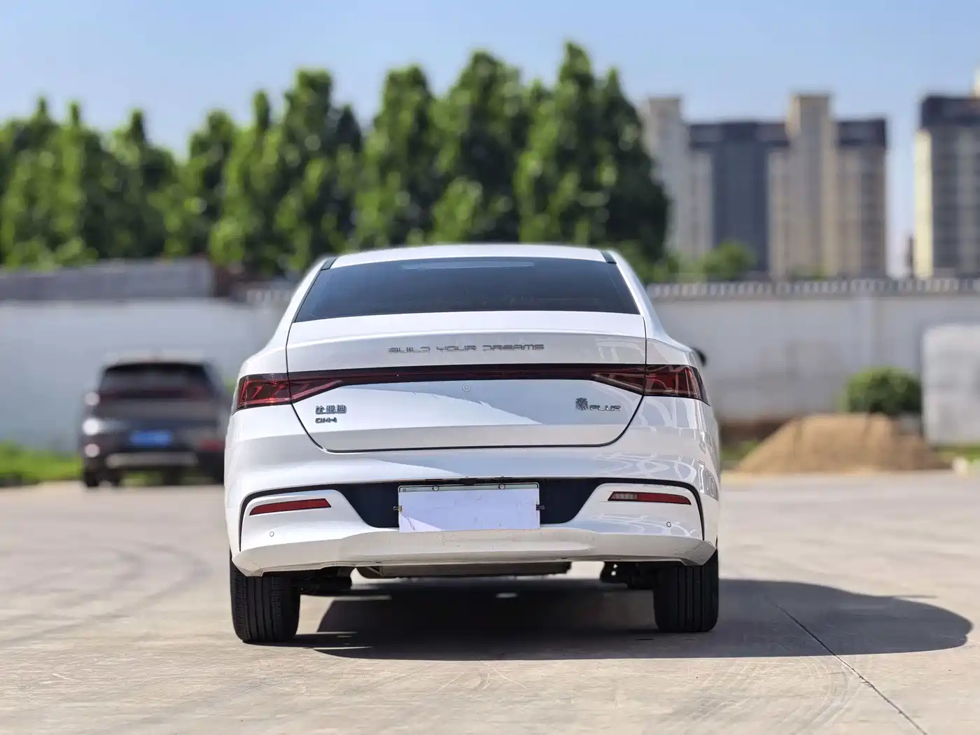 BYD Qin PLUS 2021 DM-i 55KM Flagship фото 6