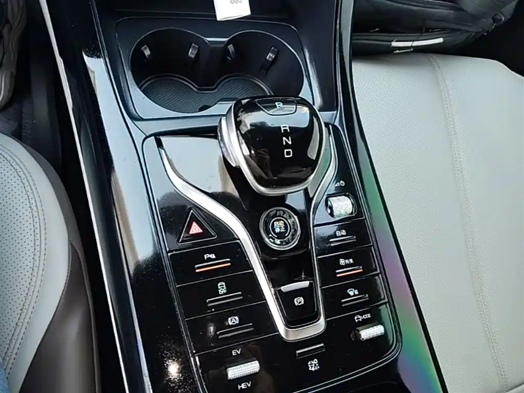 BYD Qin PLUS 2023 Champion Edition DM-i 55KM Leading фото 14