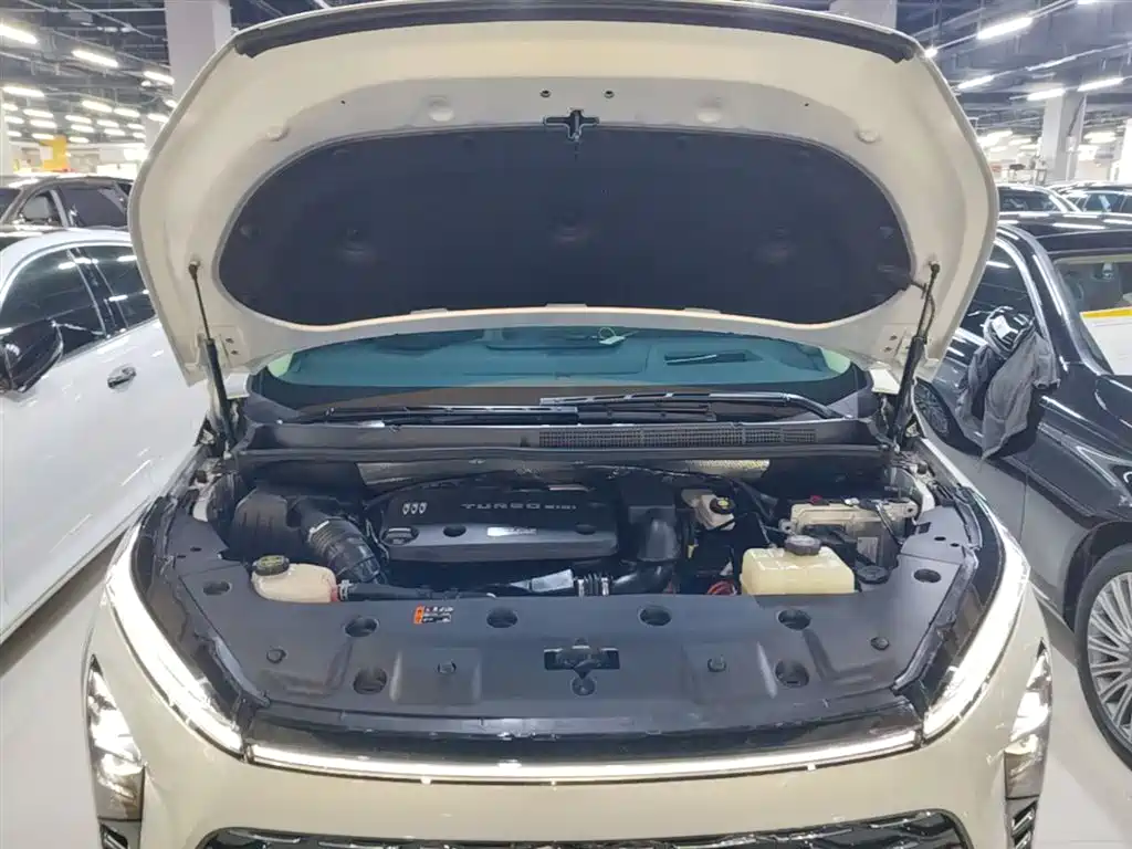 Buick GL8 New Energy 2024 Land Honor Luxury Edition 6-Seater фото 20