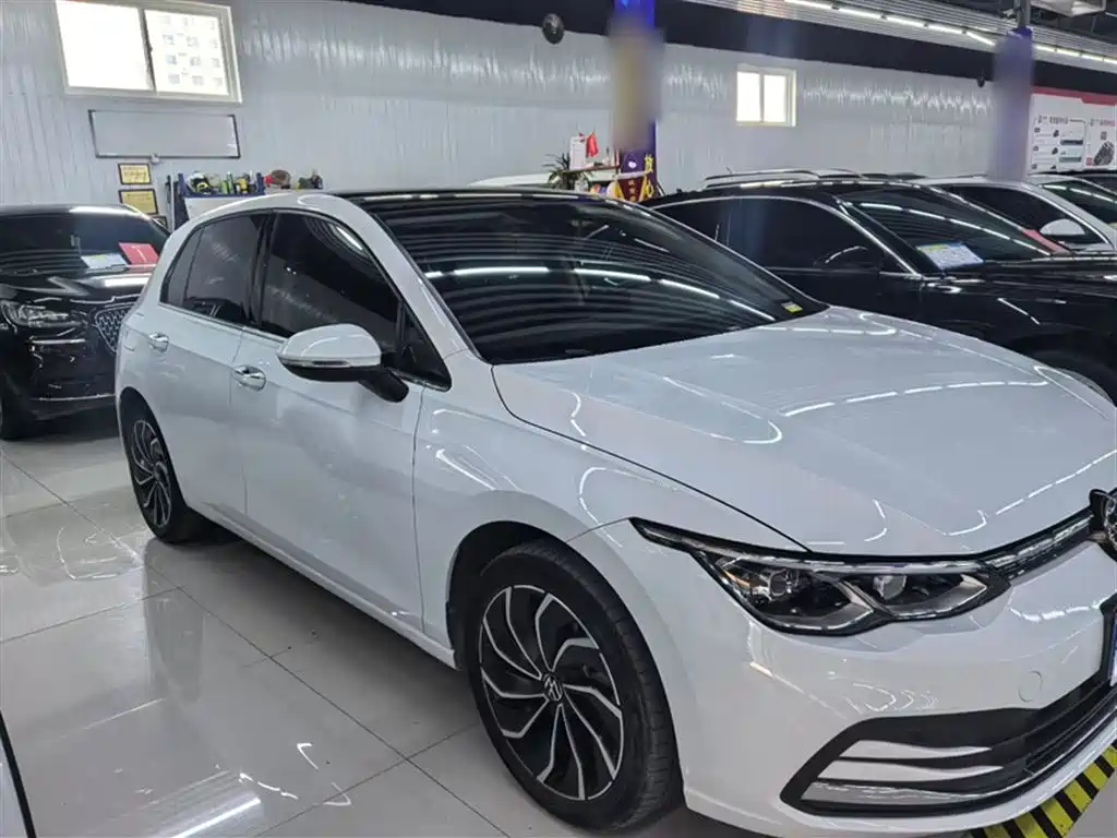 Volkswagen Golf 2021 280TSI DSG Pro Launch Edition фото 4