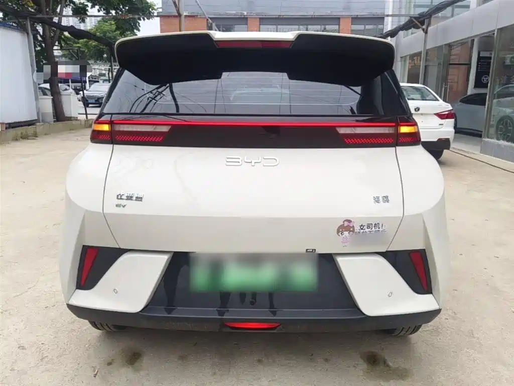 BYD Seagull 2025 305km Vitality фото 6