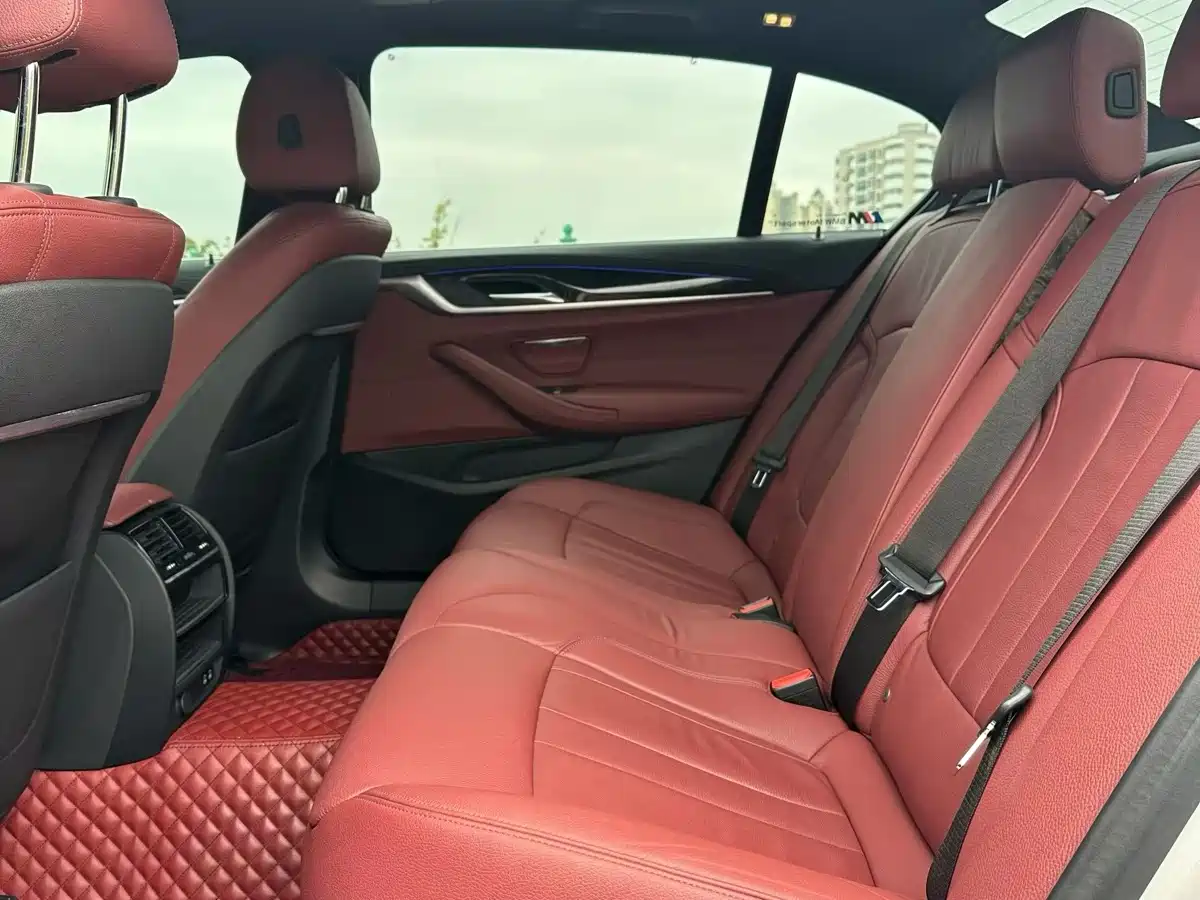 BMW 5 Series 2020 530Li Leading M Sport Package фото 5