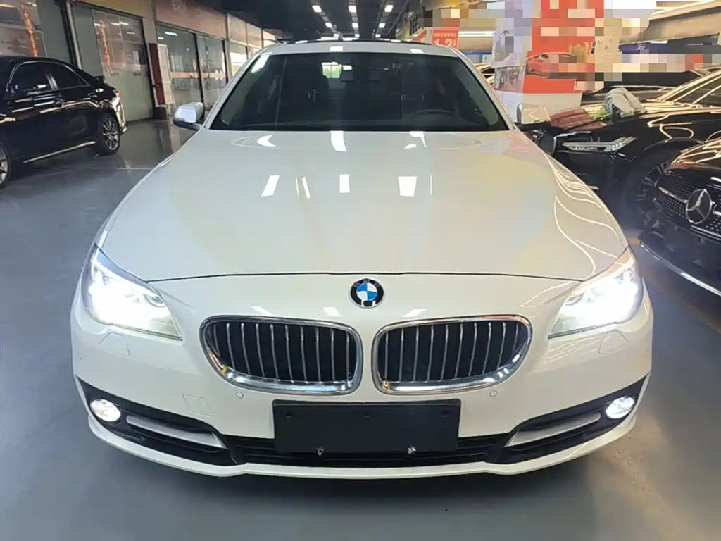 BMW 5 Series (Import) 2015 520i Elegance фото 3