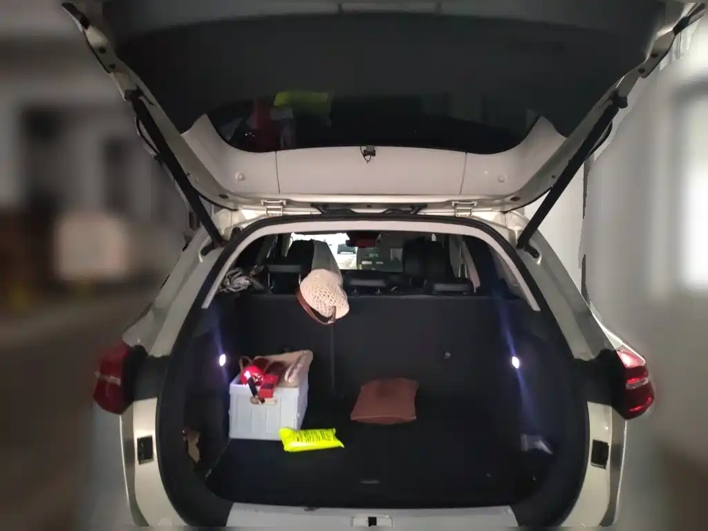 Hongqi HS5 2020 2019 2.0T Smart Connect Enjoy 4WD Edition
