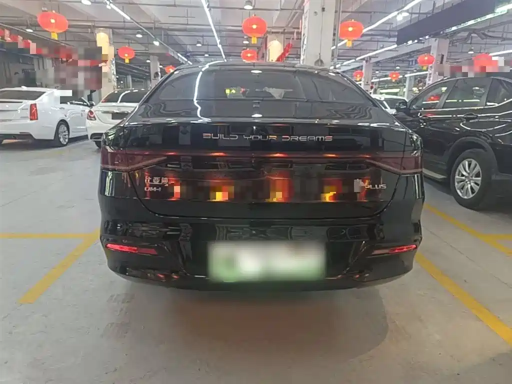 BYD Qin PLUS 2021 DM-i 55KM Flagship фото 5
