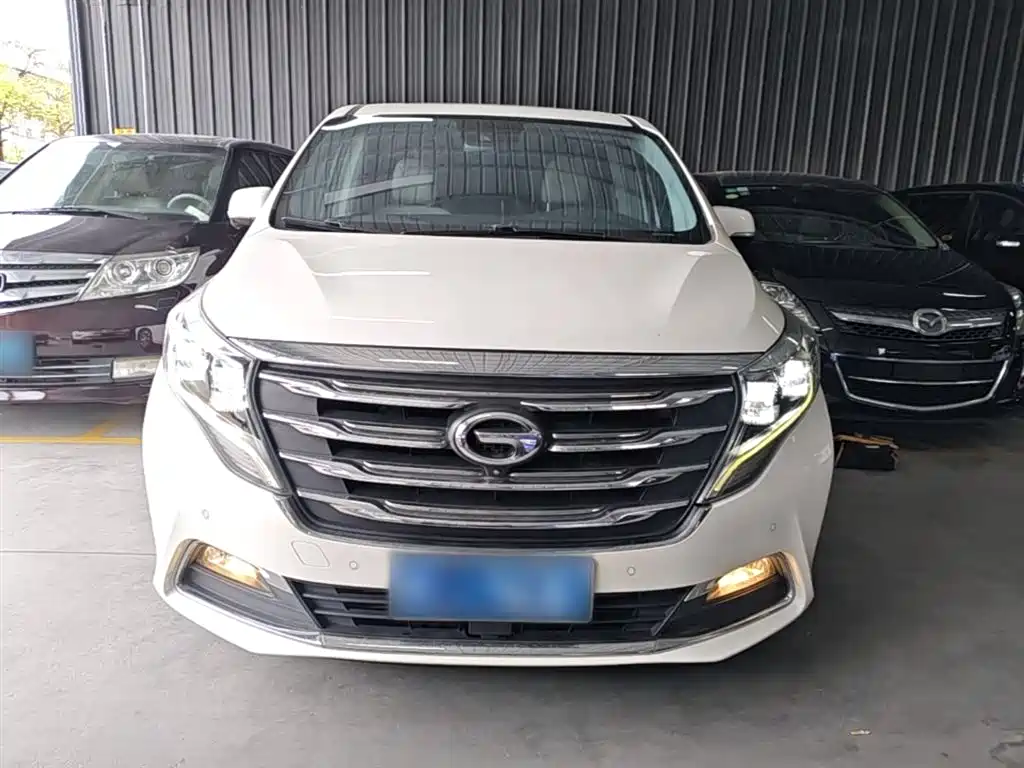 GAC Trumpchi Trumpchi M8 2018 320T Flagship Edition фото 3