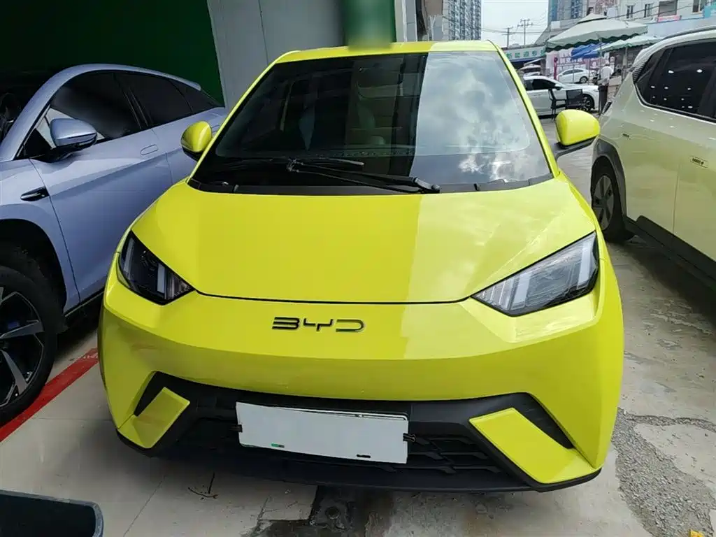 BYD Seagull 2023 Vitality Edition фото 3